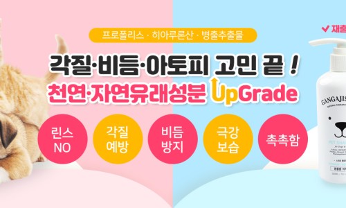 샴푸스토리 이미지