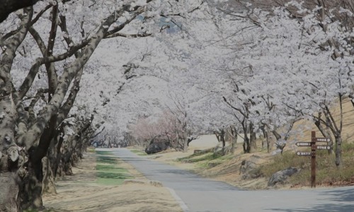 가산글램핑 이미지