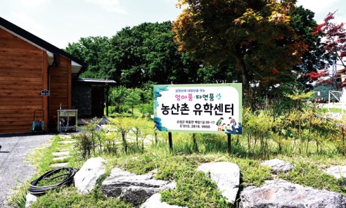 엄마품자연품농촌유학센터 이미지