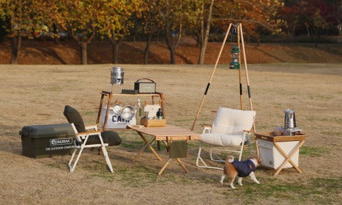 곰지락 이미지