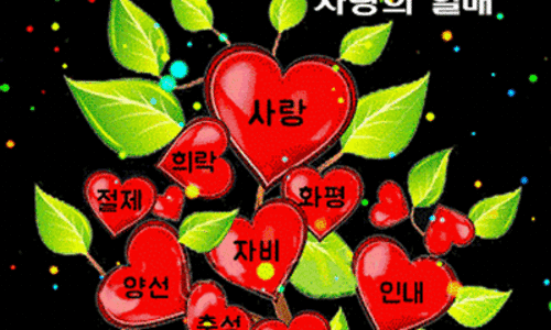행복나무 이미지