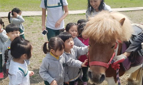 진흥축산 이미지