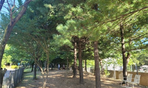 공원농산 이미지