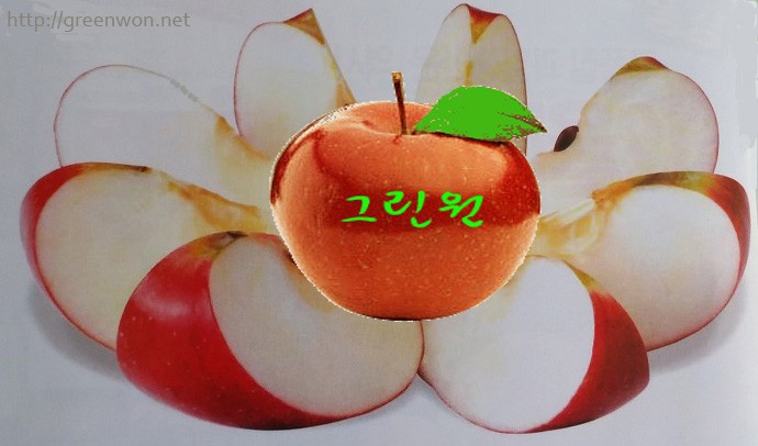 그린원 이미지