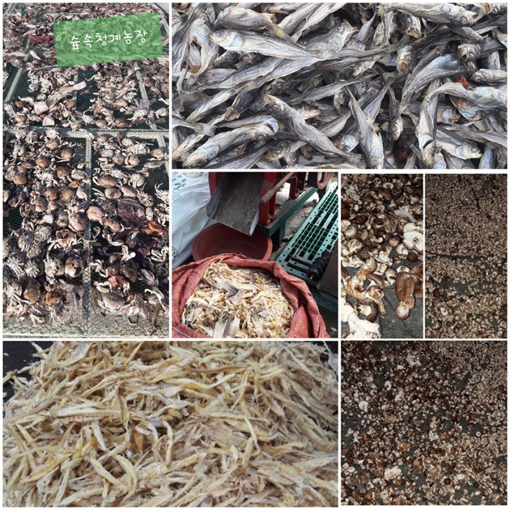 ?src=%22http%3A%2F%2Fgwmart-child562.firstmall.kr%2Fdata%2Feditor%2Fgoods%2F1%2F2019%2F05%2F31845_15595397752420.jpg%22&type=cafe_wa740