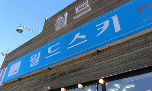 엘리시안강촌월드스키렌탈샵 이미지