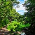 행복한숲Happyforest 이미지