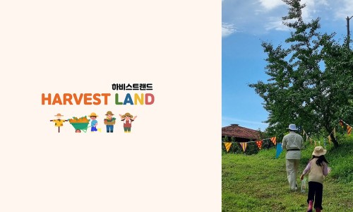 하비스트카페 이미지