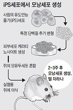 최근희소식 이미지