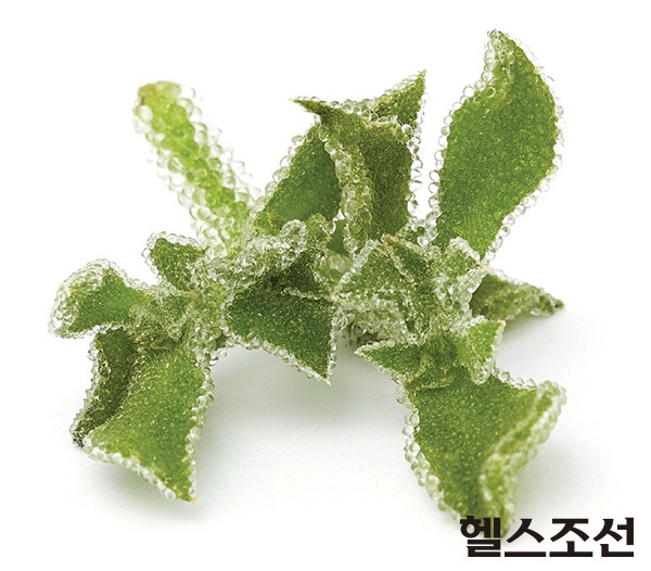 아삭아이스 이미지