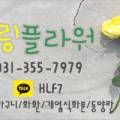 남양꽃집힐링플라워 이미지