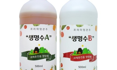 식물A 이미지