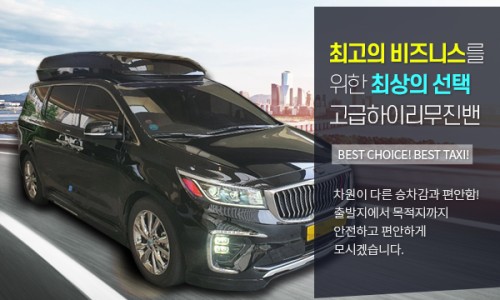 에이스골프스키 이미지