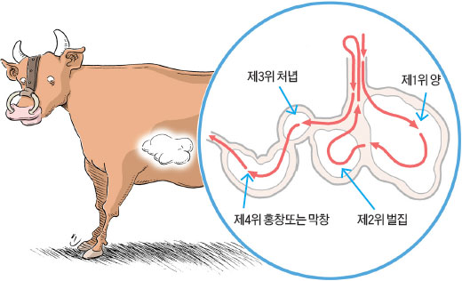 명가양곱창 이미지