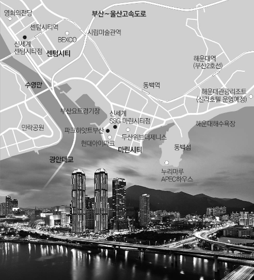 서울강남유통 이미지