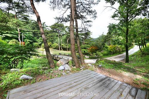 박달재자연휴양림야영장 이미지
