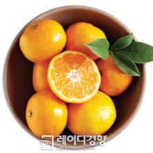 소리보관 이미지