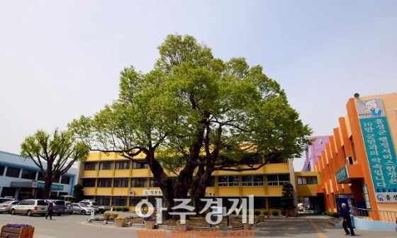 오늘의한우 이미지