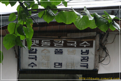 숲속유치원 이미지