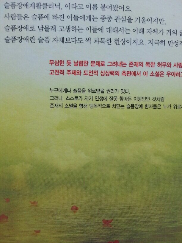 성이연 이미지