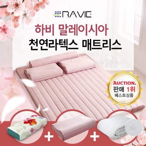 하비(Ravie) 이미지