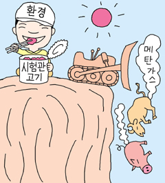 머리마당 이미지