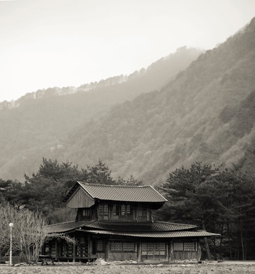 삼둔사가리 이미지