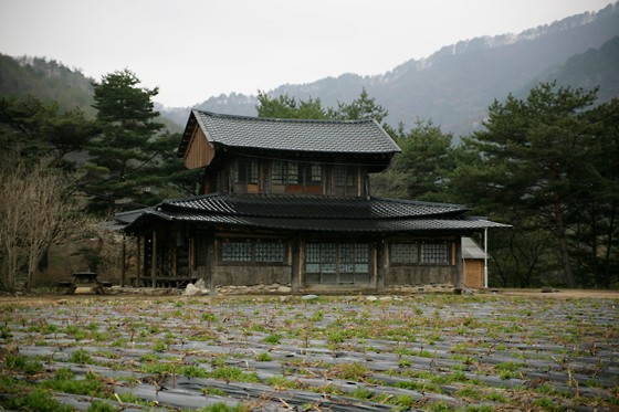 삼둔사가리 이미지