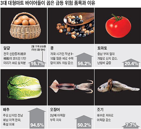 파동마트 이미지