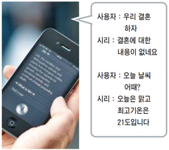 시리 이미지