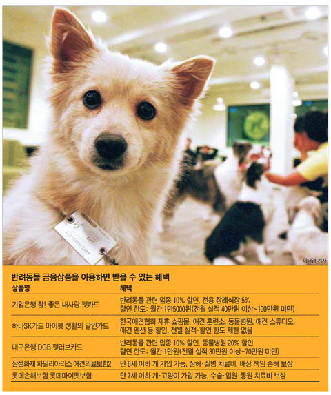 참사랑할인마트 이미지