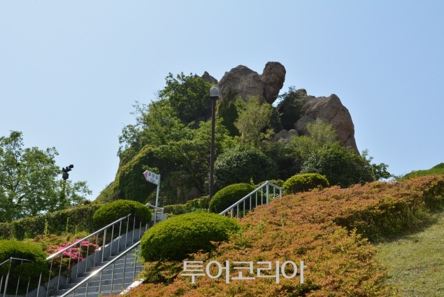 더낭만 이미지
