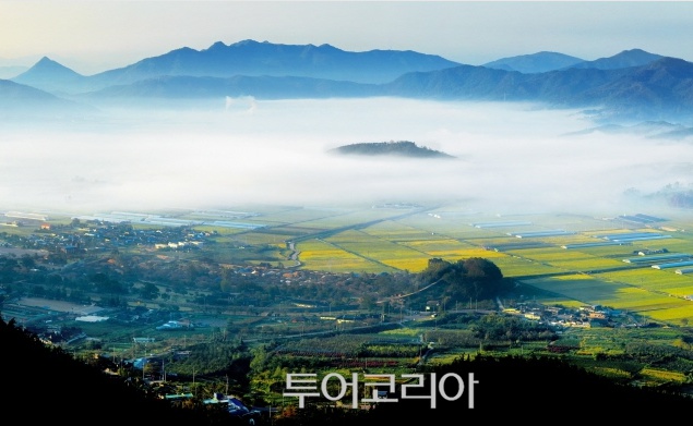 더낭만 이미지