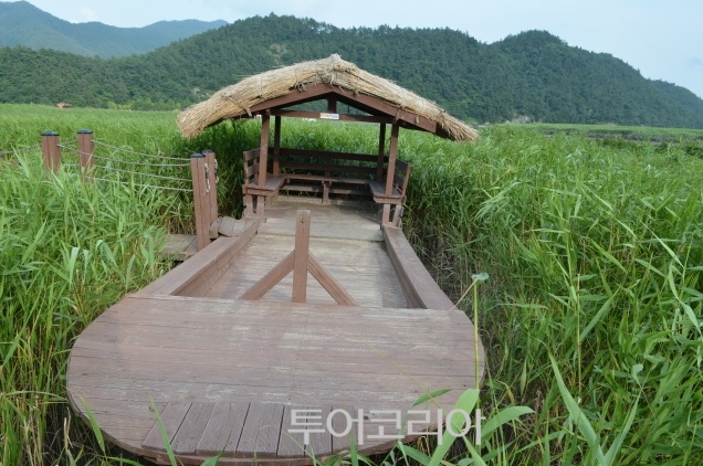 더낭만 이미지