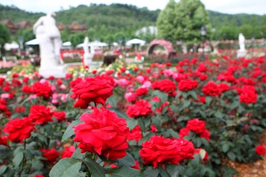 선영인력 이미지