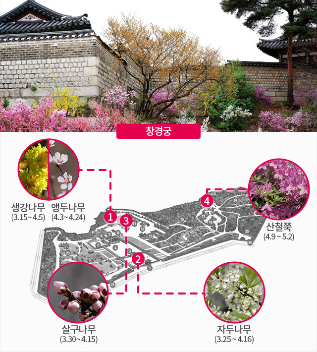 아희 이미지