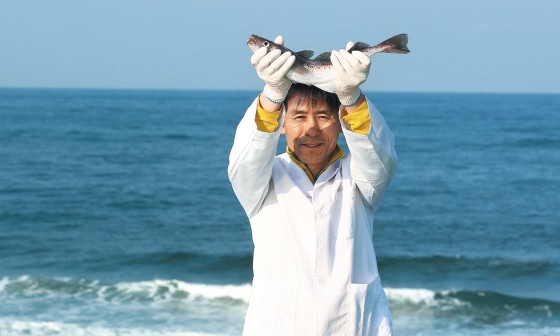 명태랑고기랑 이미지