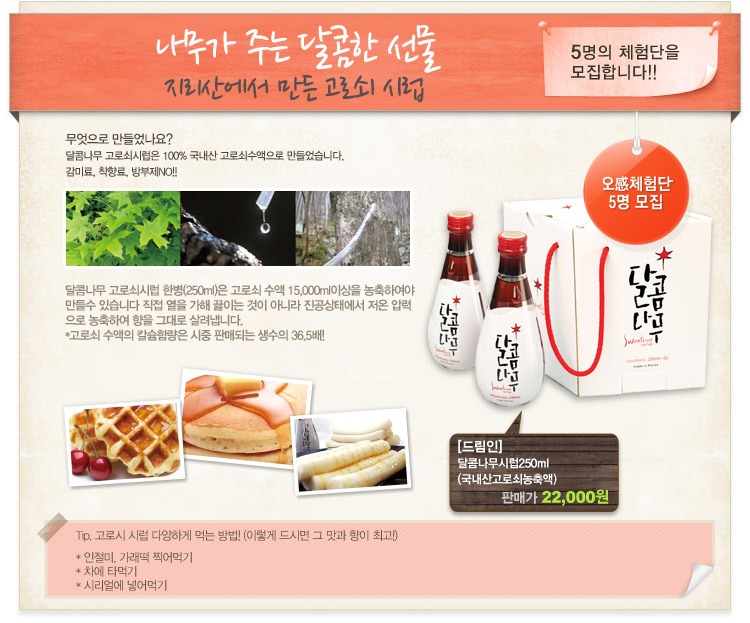 커피밥나무 이미지