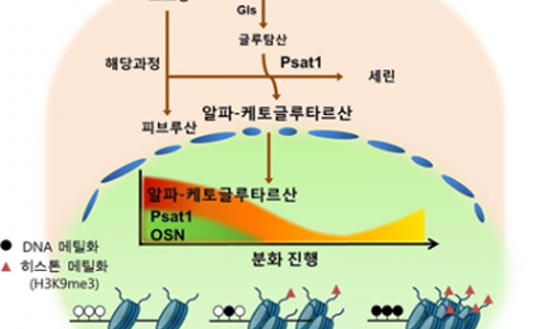동아자재 이미지