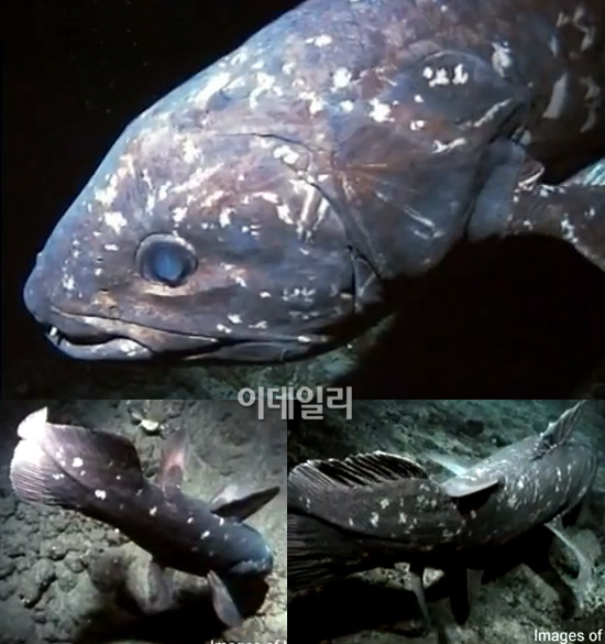 포유정보통신 이미지