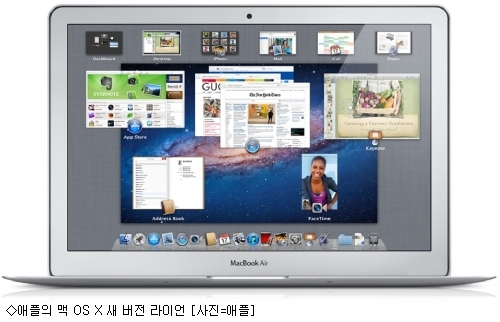 라이언 PC 이미지