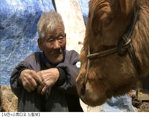 워낭소리 이미지