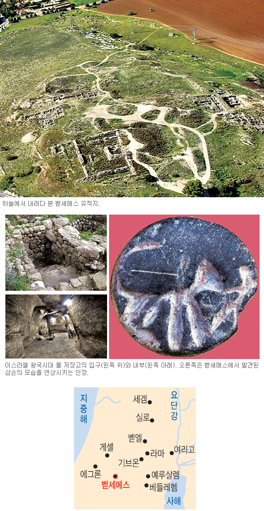 백년청과 이미지