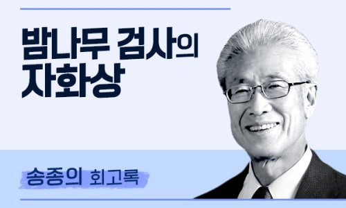 나무기획인쇄 이미지