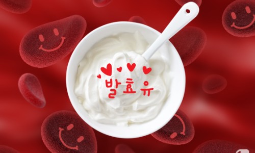 케이피앤지 이미지