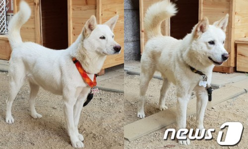 송강마루 이미지