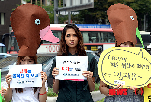탑축산 이미지