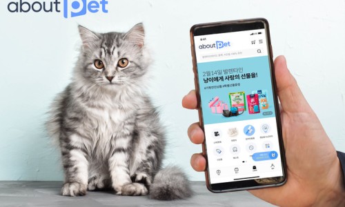 어바웃애플 이미지