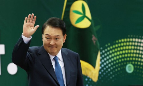 벨로벨라 이미지