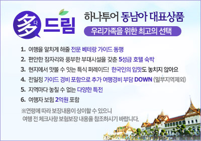 하나드림투어 이미지